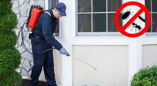 Karamanlı Akrep İlaçlama böcek ilaçlama ve haşere kontrolü — ilaclama-tr.com
